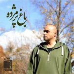 آهنگ باغ پژمرده از حمید حامی