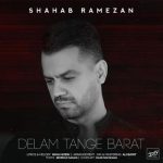آهنگ دلم تنگه برات از شهاب رمضان