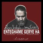آهنگ انتقام گریه ها از رضا صادقی